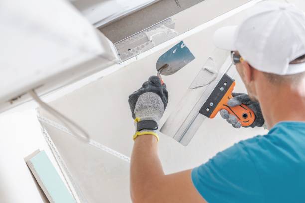 Reliable East Port Orchard, WA Mold Removal Solutions